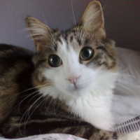 Photo #237972 de Leelou