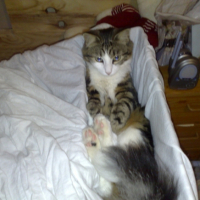 Photo #237973 de Leelou