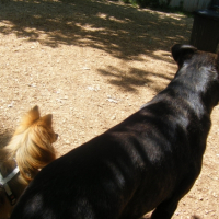 Photo #237989 de Douna