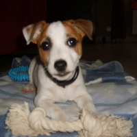 Photo #237992 de Earley