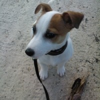 Photo #237993 de Earley