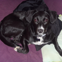 Photo #238012 de Caly