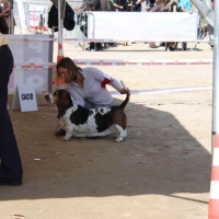 Photo #238121 de Allumette