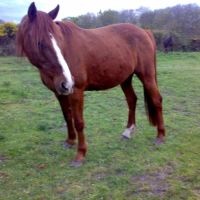 Photo #238126 de Eldric