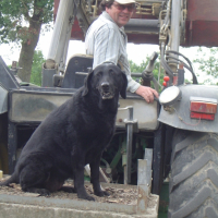 Photo #238156 de Rudy