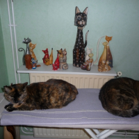 Photo #238166 de Sonie