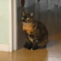 Photo #238167 de Sonie