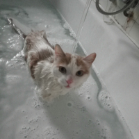 Photo #238183 de Caramel