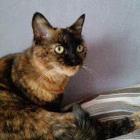 Photo #238194 de Sonie