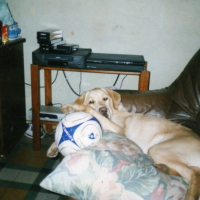 Photo #238215 de Tess