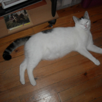 Photo #238266 de Eddy ou edouar