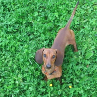 Photo #238535 de Ernest