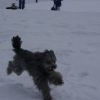 Vive la neige