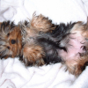 grosse fatigue