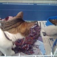Photo #238637 de Eliot