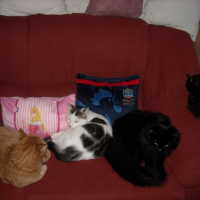 Photo #238665 de Eddy ou edouar