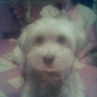 7MA_BELLE