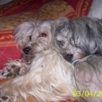 omphy et sundae