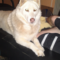 Photo #238840 de Priska