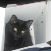 Photo #238875 de Ketty