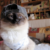 Photo #238983 de Even