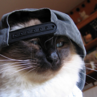 Photo #238984 de Even