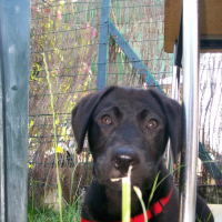 Photo #238995 de Fyron