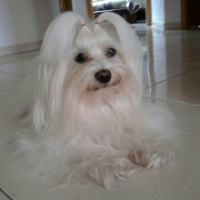 Photo #239069 de Sissy