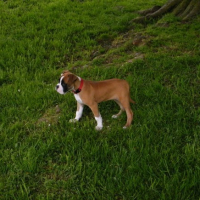 Au parc