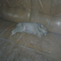 Photo #239169 de Enddy