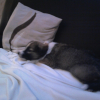 Photo0132