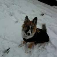 Photo #239282 de Choupette