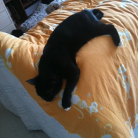 Photo #239322 de Prisca