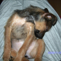 Photo #239386 de Lily