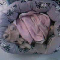 Photo #239392 de Enddy
