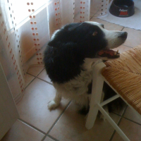 Photo #239422 de Orlanne