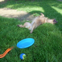 Photo #239479 de Cheyenne