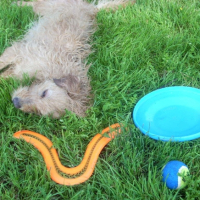 Photo #239480 de Cheyenne