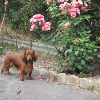 Photo #239560 de Eloa