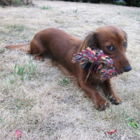 Photo #239561 de Eloa