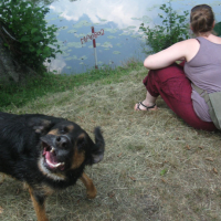 Photo #239574 de Benji