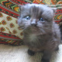 La première fois que je voyais ma maman adoptive !