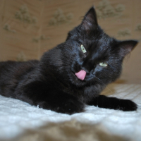 Slurp !