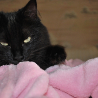 Mon Doudou et moi, c'est une grande Histoire d'Amour <3