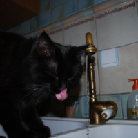Rien de meilleur que l'eau fraîche du robinet !