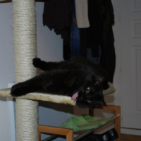 Sluuuuurp !