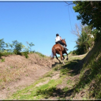 Photo #239660 de Quest star