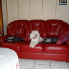 SAM_0002