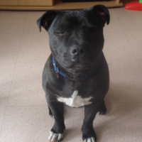 Photo #239922 de Exon