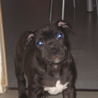 Photo #239923 de Exon